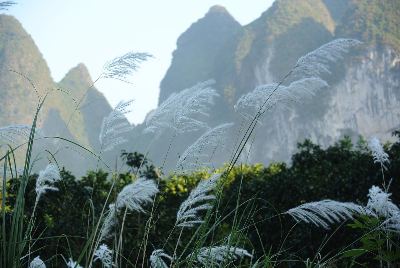 Nirvana Organic Farm Inn Yangshuo Eksteriør bilde
