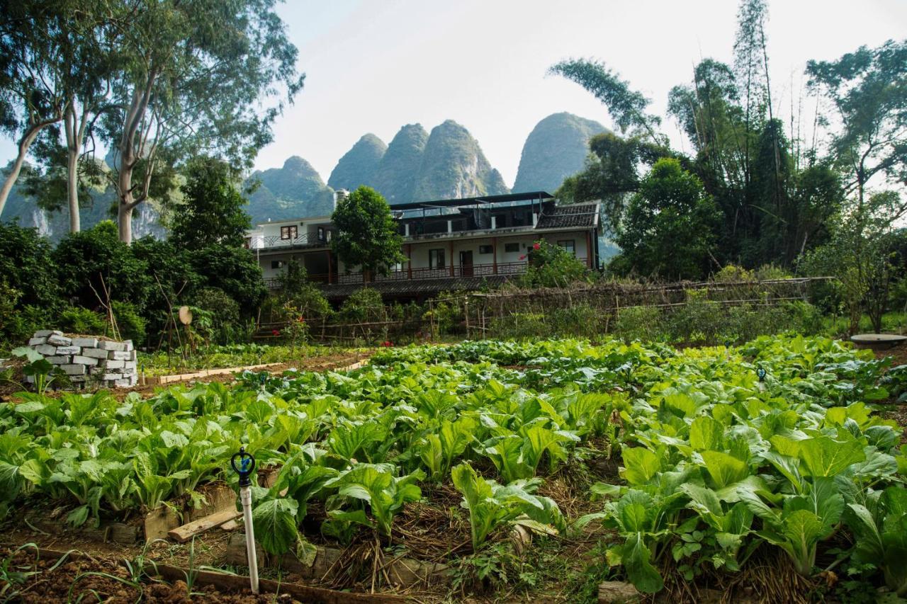 Nirvana Organic Farm Inn Yangshuo Eksteriør bilde
