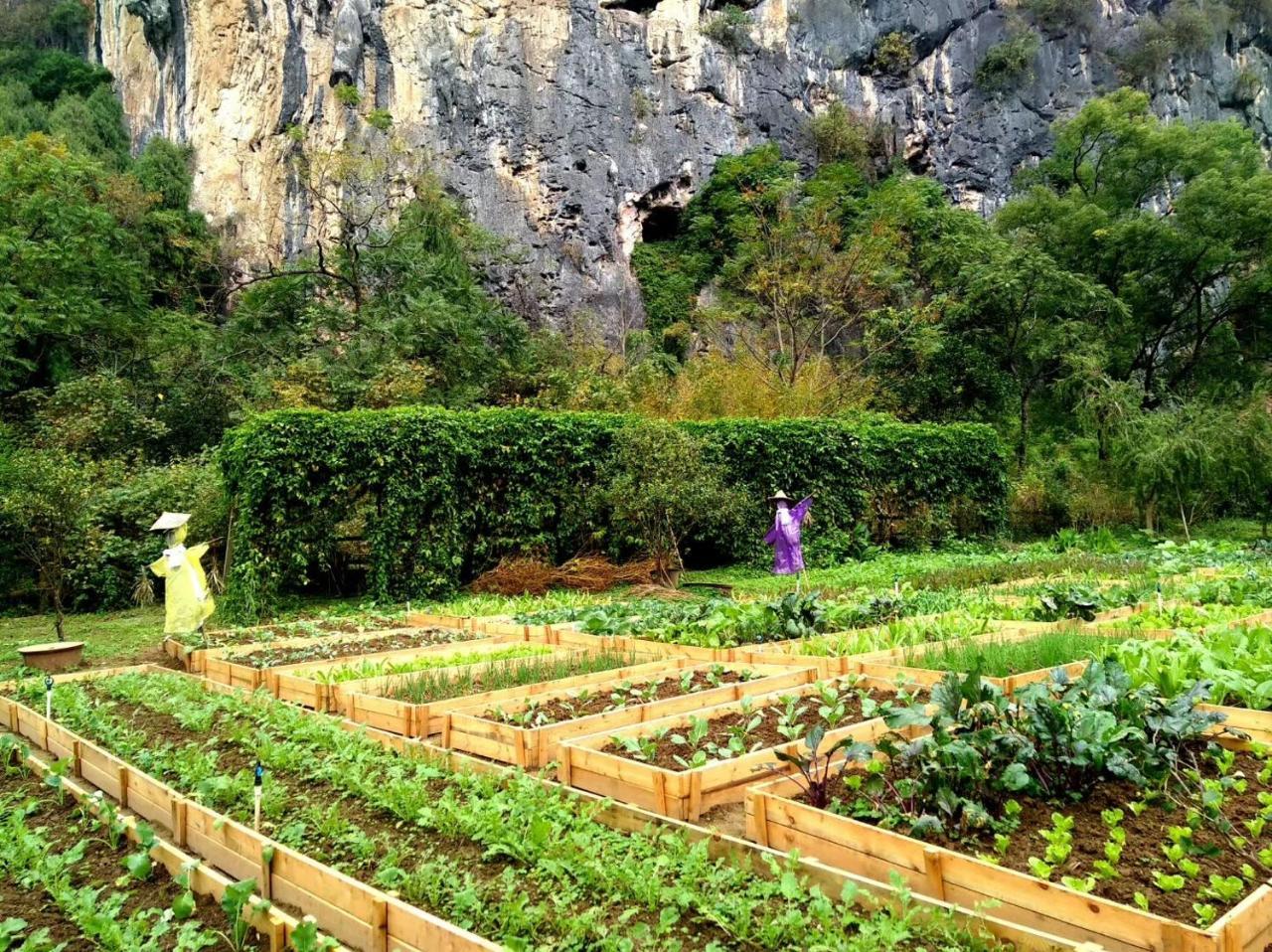 Nirvana Organic Farm Inn Yangshuo Eksteriør bilde